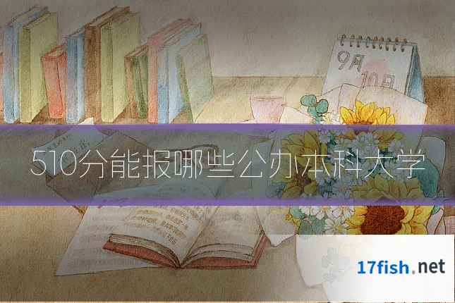 510分能报哪些公办本科大学