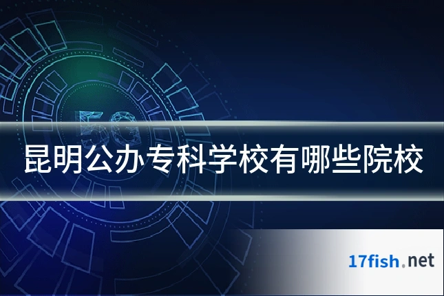 昆明公办专科学校有哪些院校
