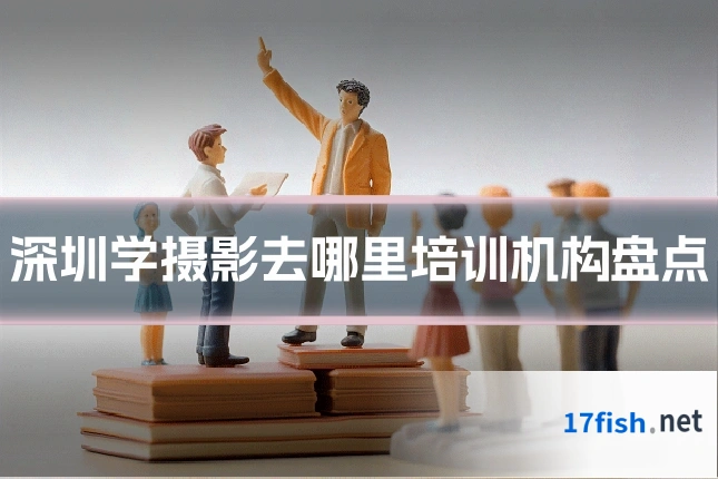 深圳学摄影去哪里培训机构盘点