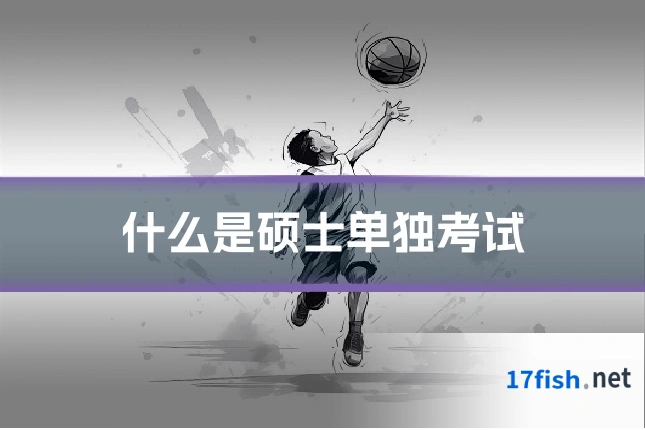 什么是硕士单独考试