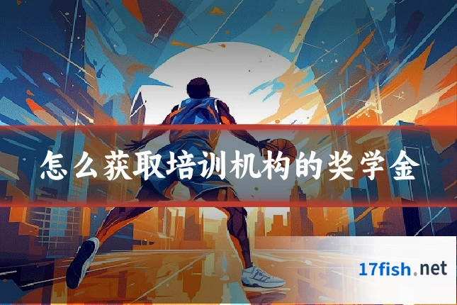 怎么获取培训机构的奖学金