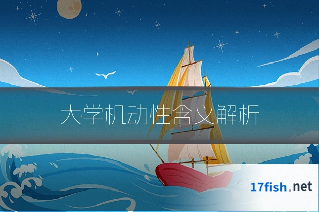 大学机动性含义解析