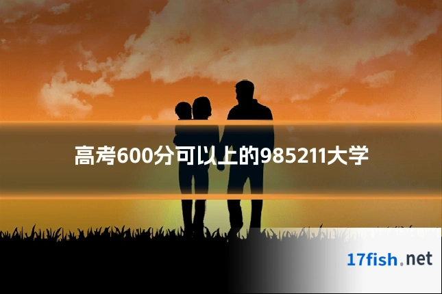 高考600分可以上的985211大学