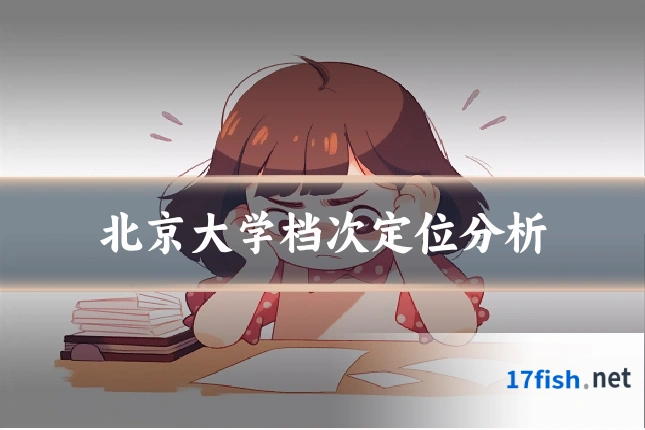 北京大学档次定位分析