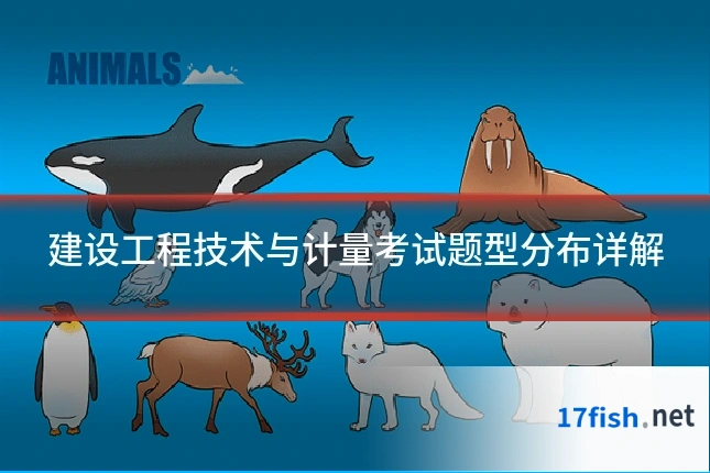 建设工程技术与计量考试题型分布详解