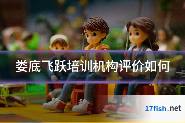 娄底飞跃培训机构评价如何