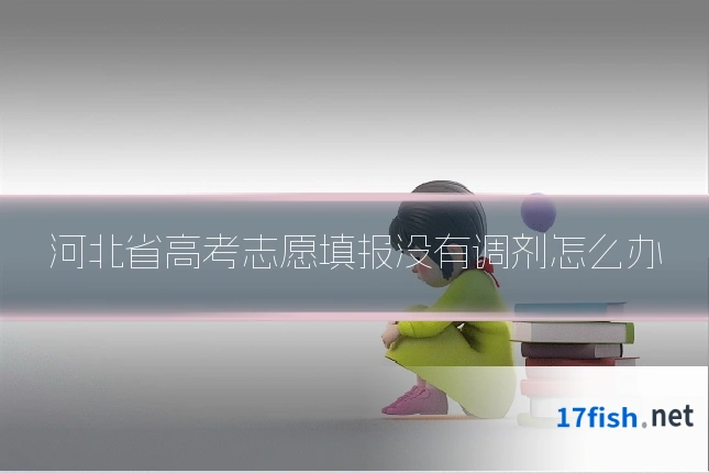 河北省高考志愿填报没有调剂怎么办