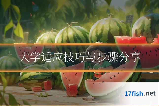 大学适应技巧与步骤分享