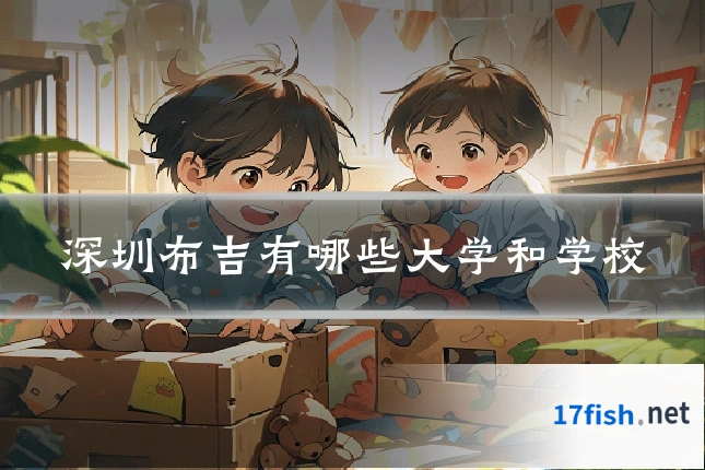 深圳布吉有哪些大学和学校