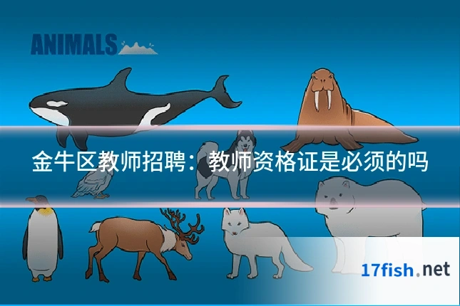 金牛区教师招聘:教师资格证是必须的吗