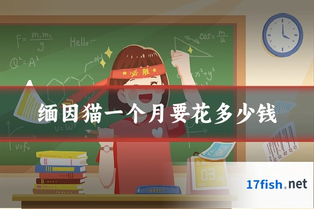缅因猫一个月要花多少钱