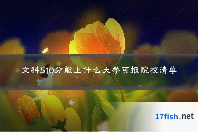 文科510分能上什么大学可报院校清单