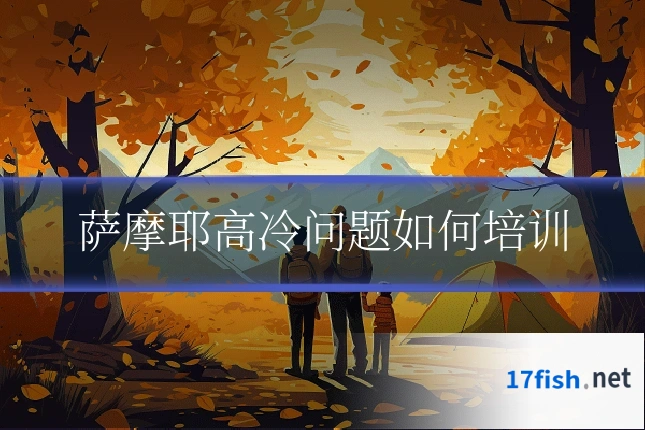 萨摩耶高冷问题如何培训
