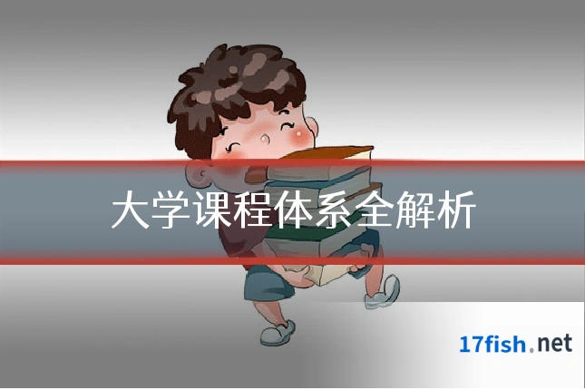大学课程体系全解析