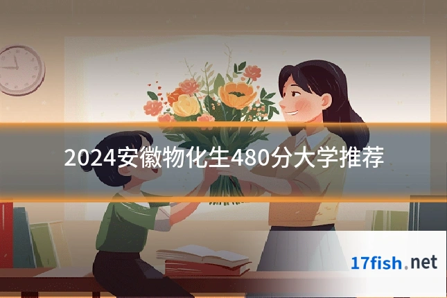 2024安徽物化生480分大学推荐