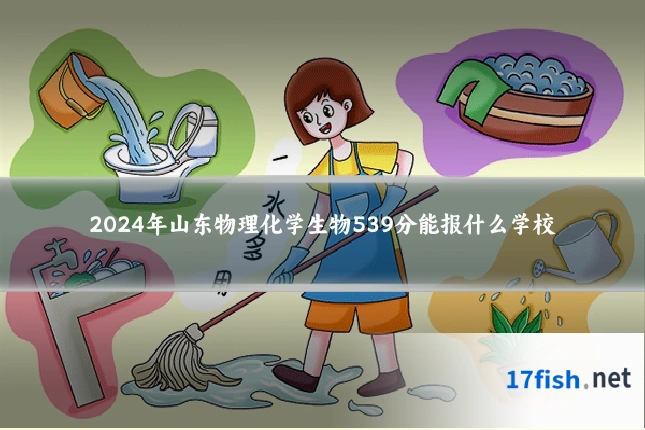 2024年山东物理化学生物539分能报什么学校