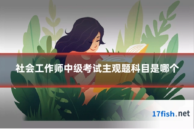 社会工作师中级考试主观题科目是哪个