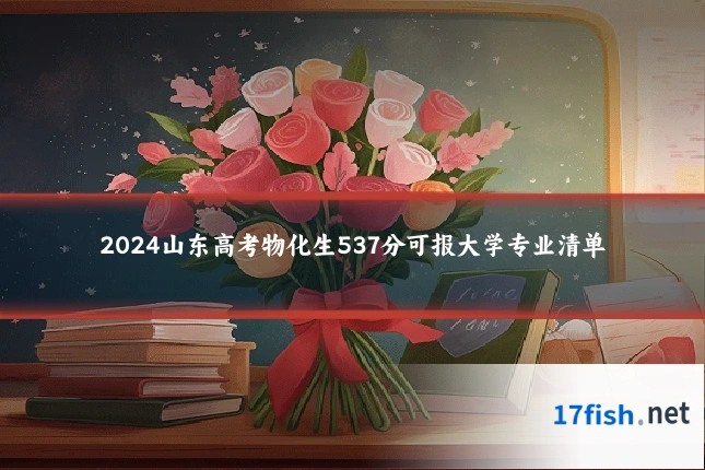2024山东高考物化生537分可报大学专业清单