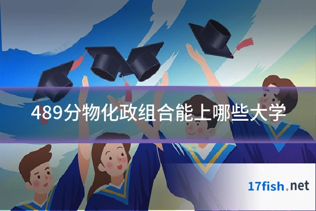 489分物化政组合能上哪些大学