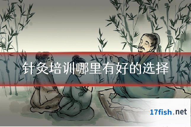 针灸培训哪里有好的选择