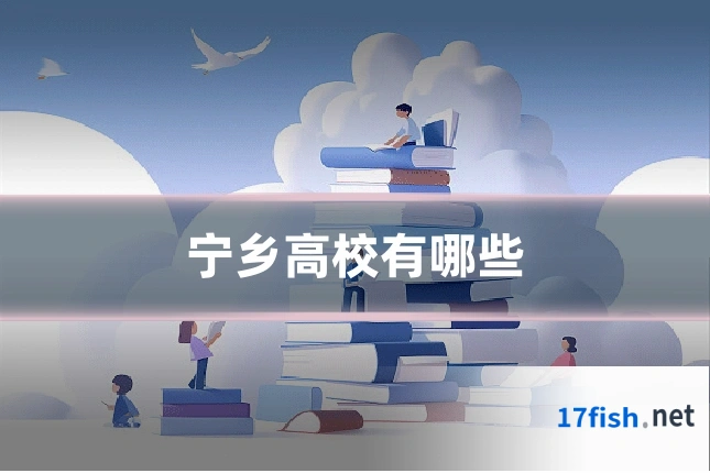 宁乡高校有哪些