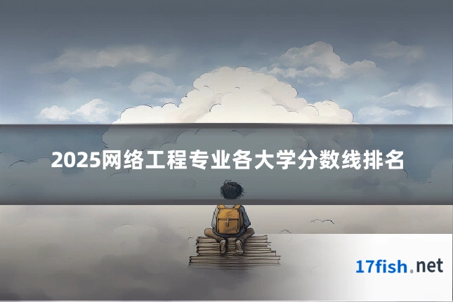 2025网络工程专业各大学分数线排名