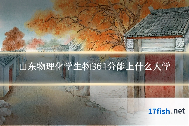 山东物理化学生物361分能上什么大学