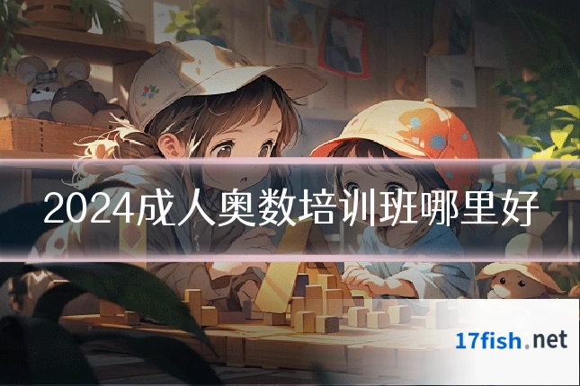2024成人奥数培训班哪里好