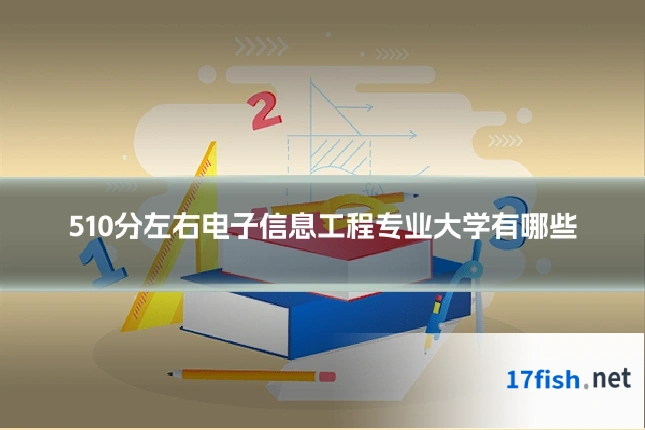 510分左右电子信息工程专业大学有哪些