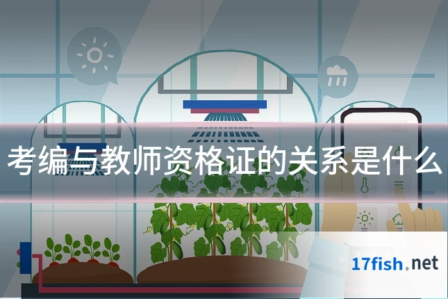 考编与教师资格证的关系是什么