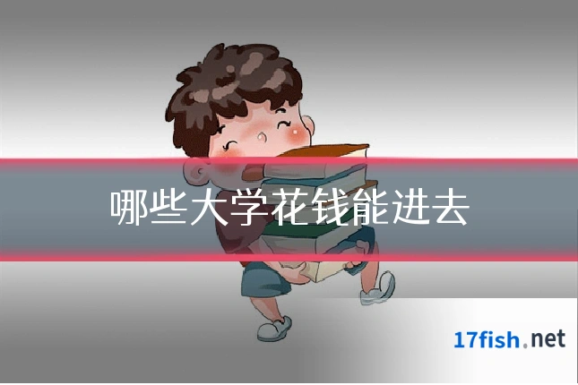 哪些大学花钱能进去