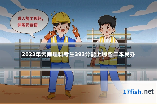 2023年云南理科考生393分能上哪些二本民办