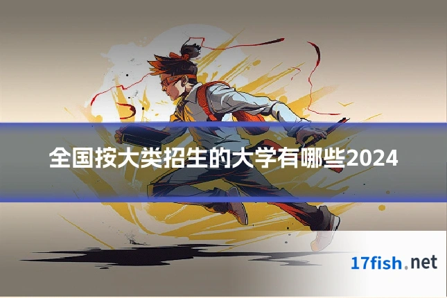 全国按大类招生的大学有哪些2024