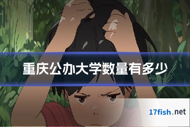 重庆公办大学数量有多少