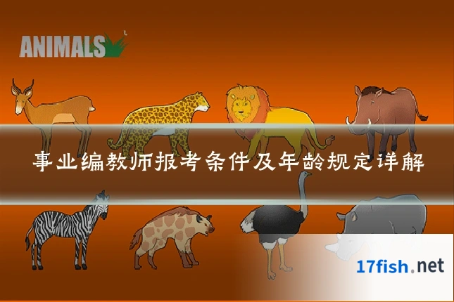 事业编教师报考条件及年龄规定详解
