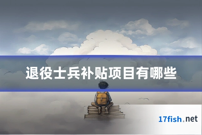退役士兵补贴项目有哪些