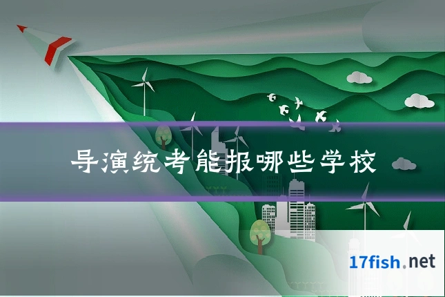 导演统考能报哪些学校