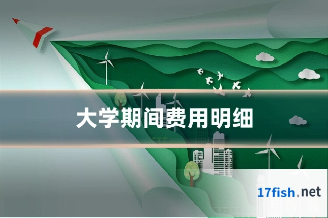 大学期间费用明细