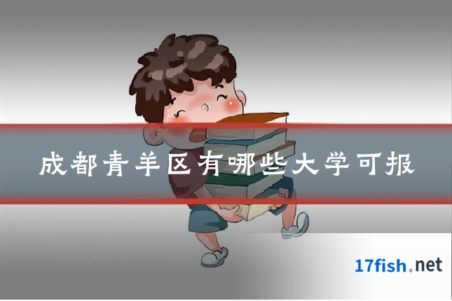 成都青羊区有哪些大学可报