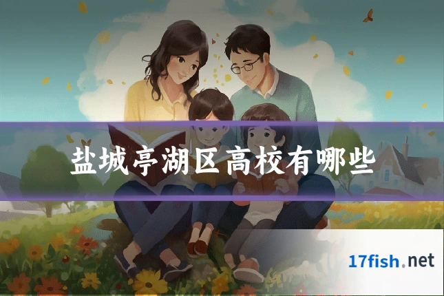 盐城亭湖区高校有哪些