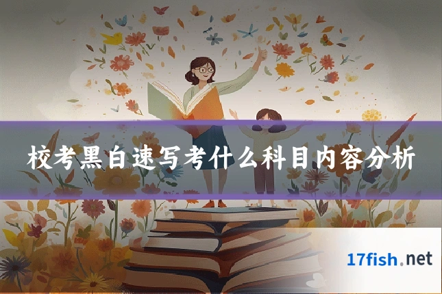 校考黑白速写考什么科目内容分析