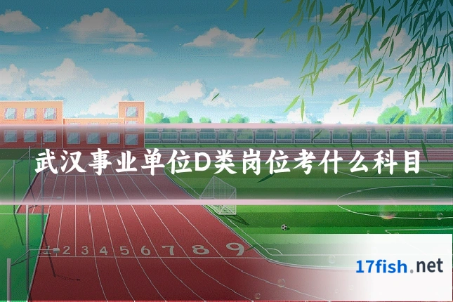 武汉事业单位D类岗位考什么科目