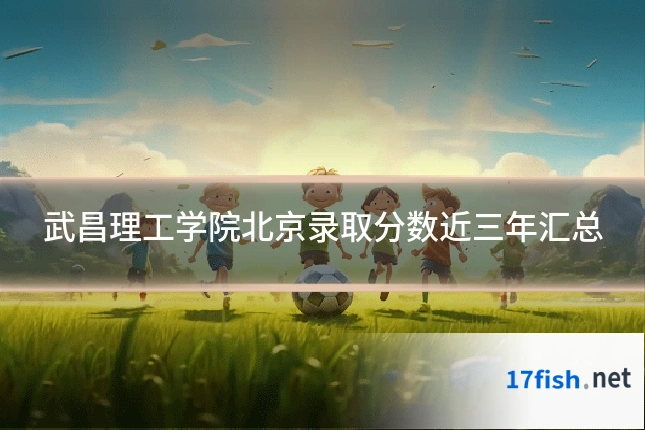 武昌理工学院北京录取分数近三年汇总