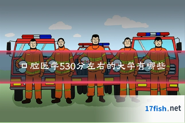 口腔医学530分左右的大学有哪些