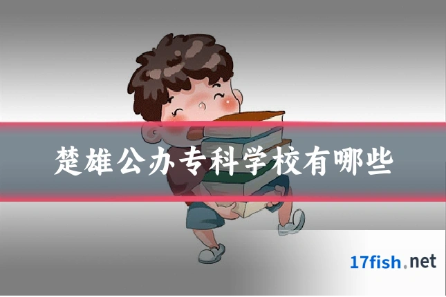 楚雄公办专科学校有哪些