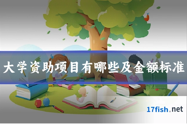 大学资助项目有哪些及金额标准