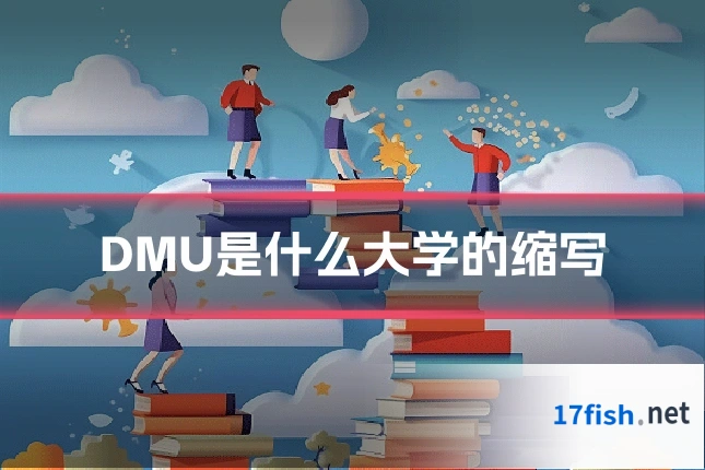 DMU是什么大学的缩写