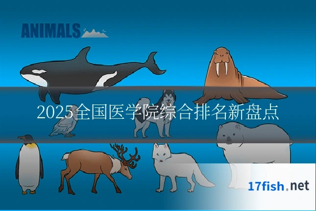 2025全国医学院综合排名新盘点