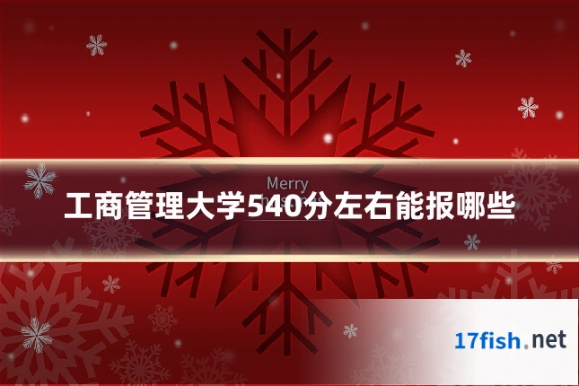 工商管理大学540分左右能报哪些