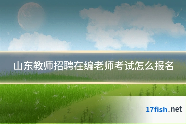 山东教师招聘在编老师考试怎么报名